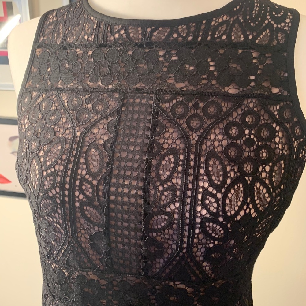 LOFT Lace Party Dress